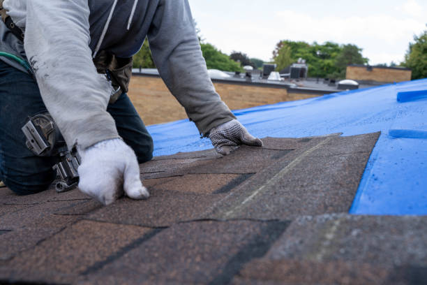 Best Metal Roofing Contractor  in Brodhead, WI