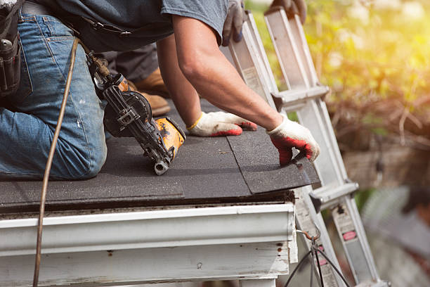 Best Roof Gutter Cleaning  in Brodhead, WI
